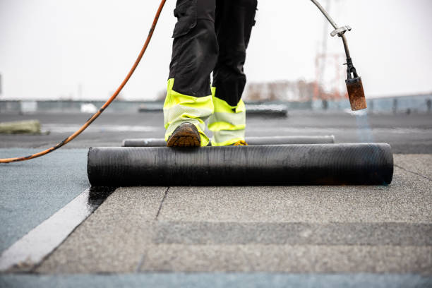 Best Roof Coating and Sealing  in Mill Valley, CA