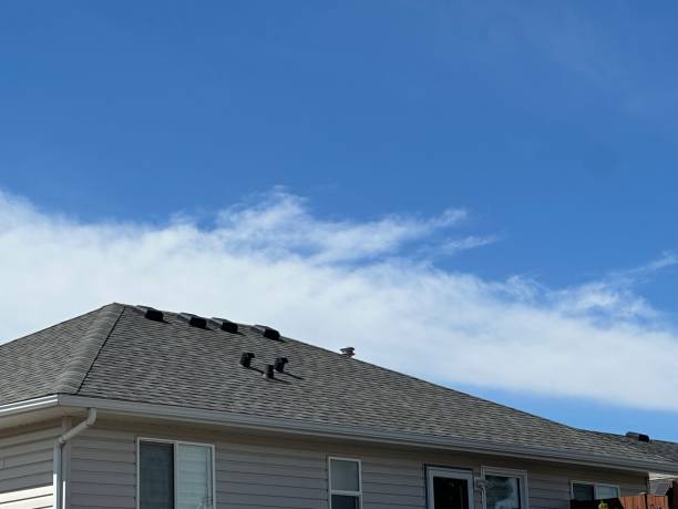 Best Roof Insulation Installation  in Mill Valley, CA